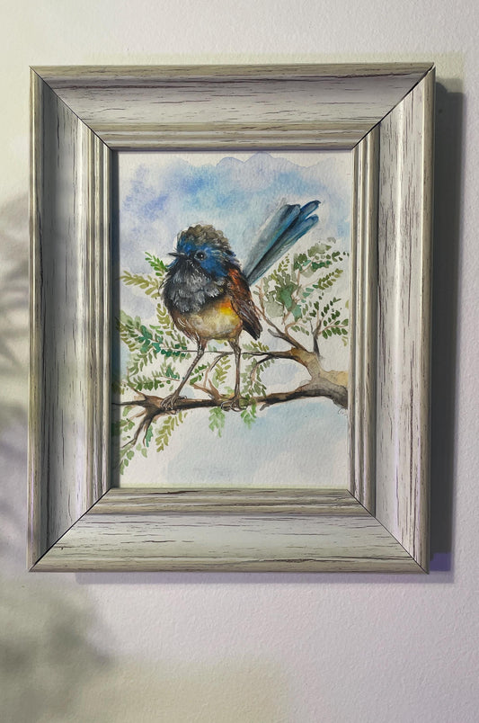 Original - Hand painted and unique, Fairywren Bird, watercolor