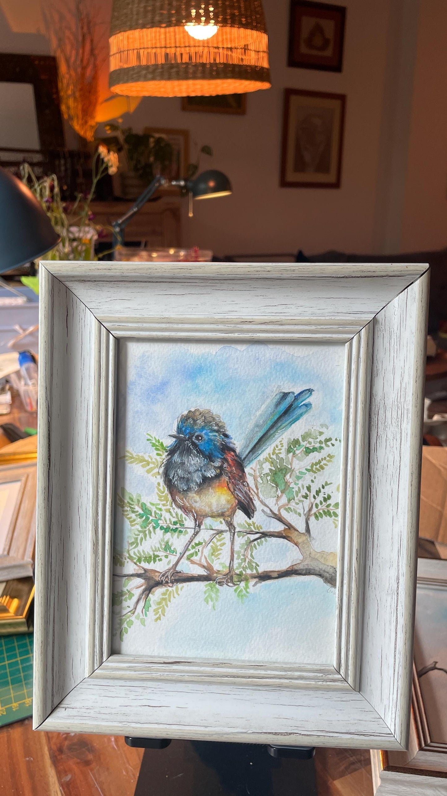 Original - Hand painted and unique, Fairywren Bird, watercolor