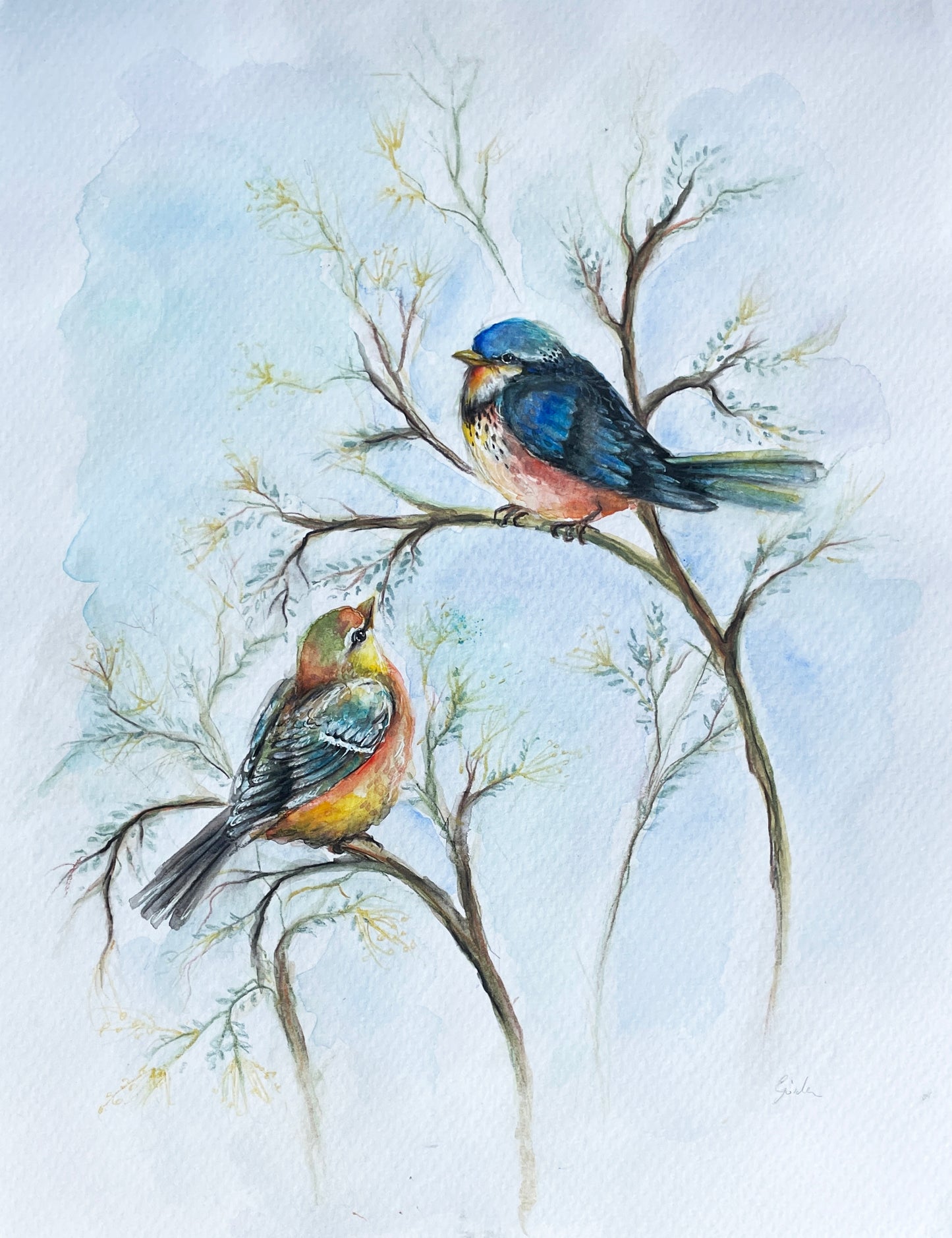 Spring Birds