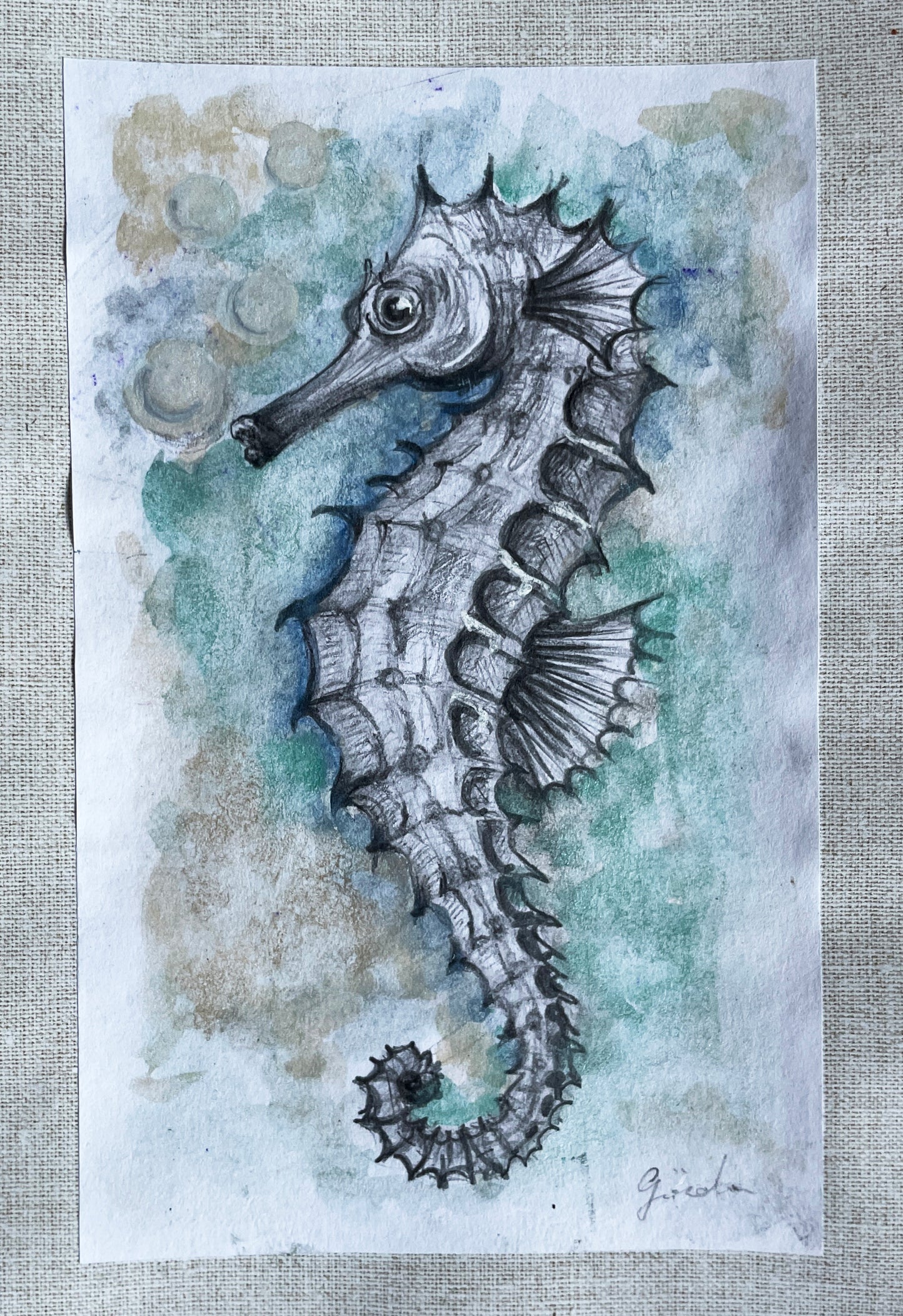 Seahorse