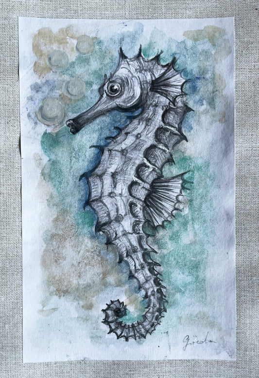 Seahorse