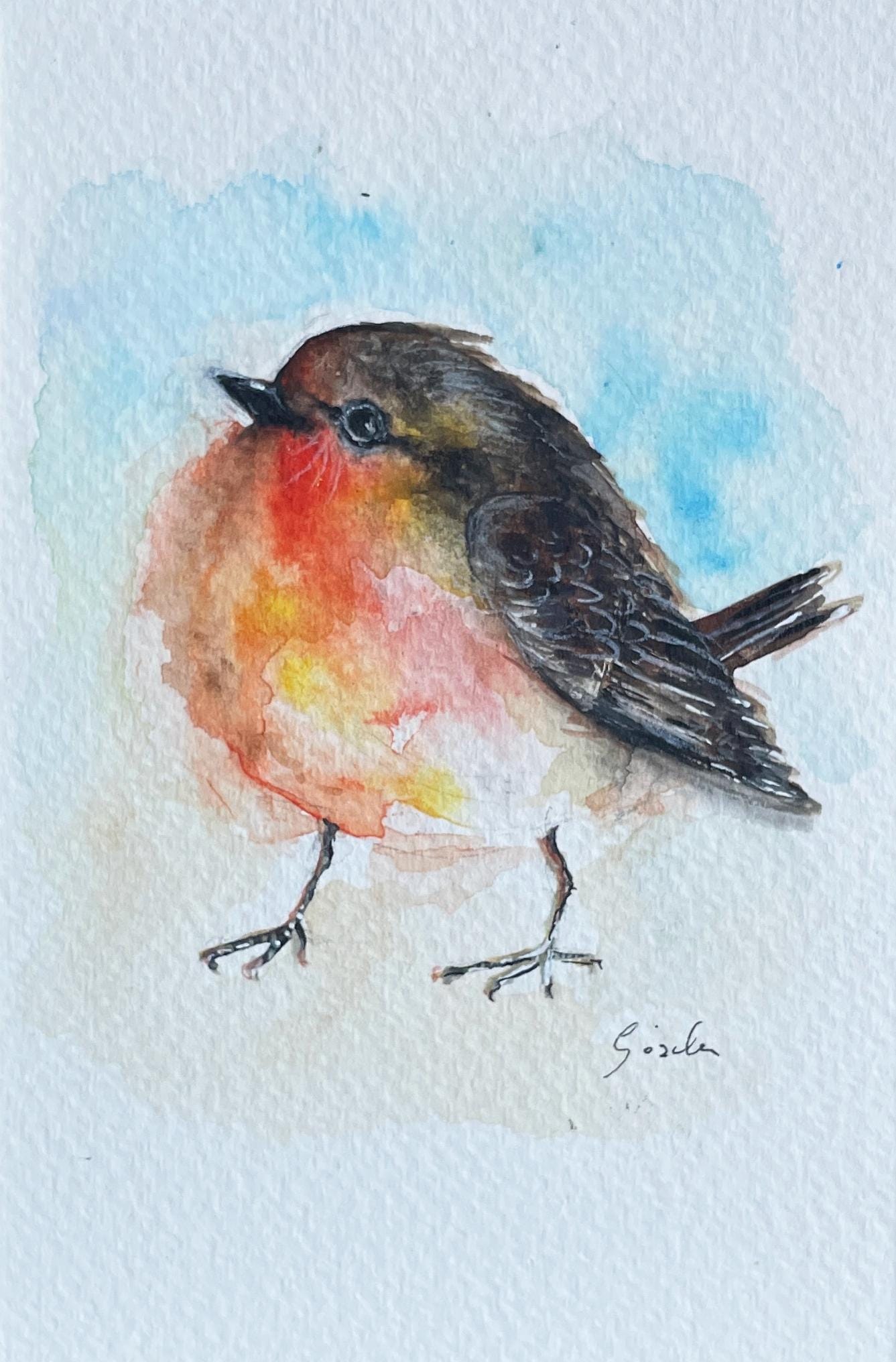 Original - Hand painted and unique, Robin Bird, watercolor