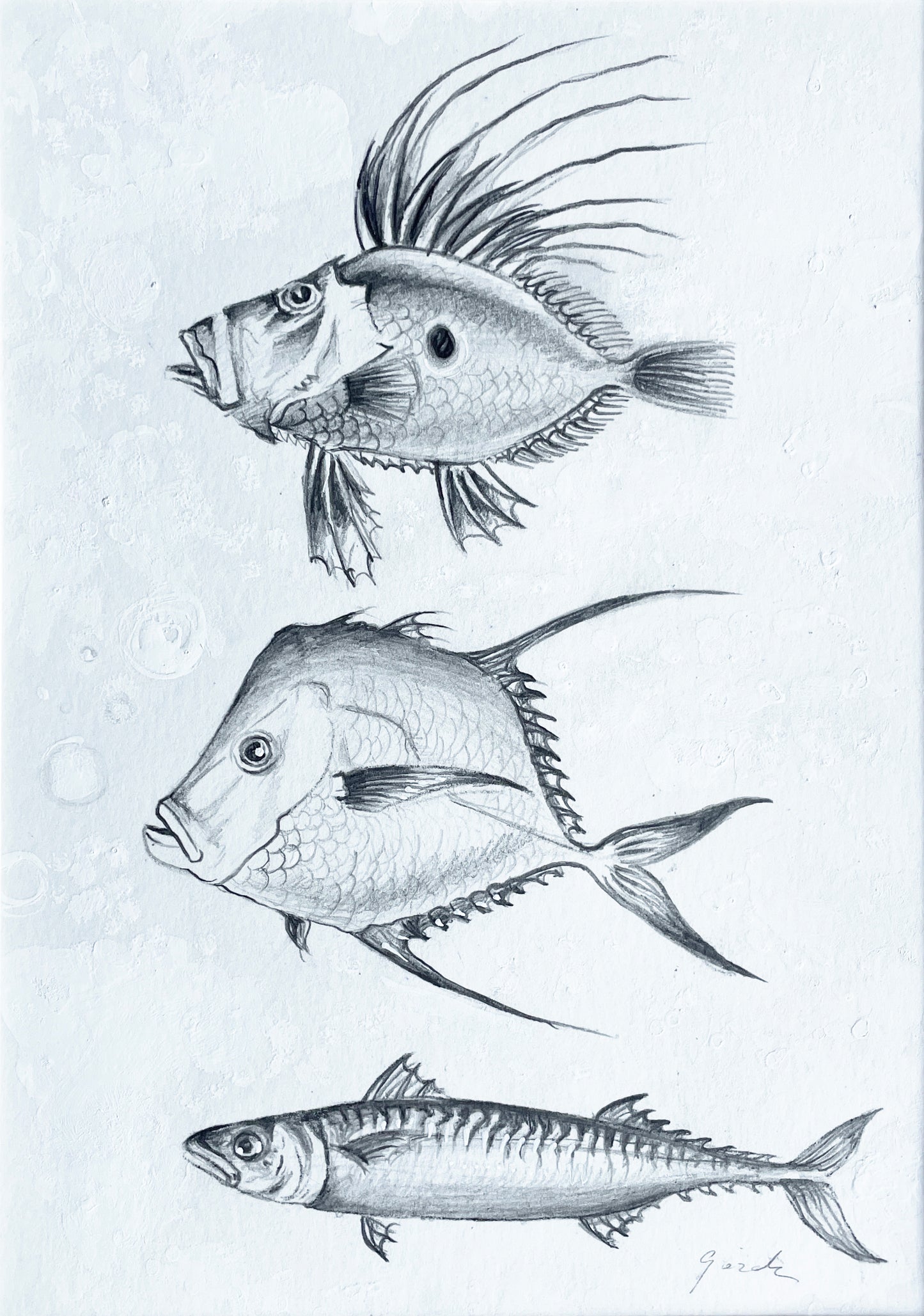 Three Fish