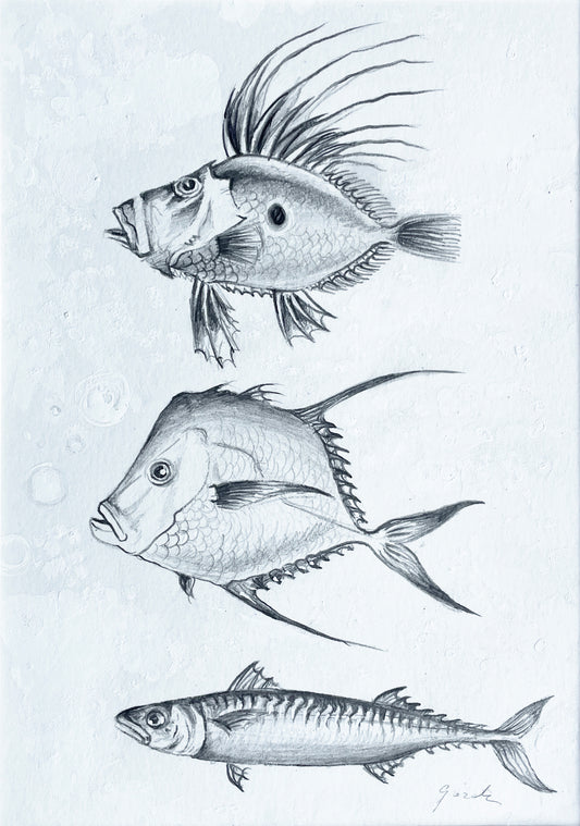 Three Fish